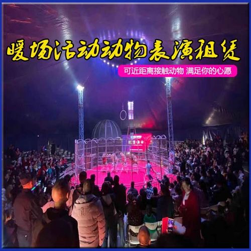 夢幻雜技專場表演出租 馬戲團表演 動物表演租賃 大型活動方案