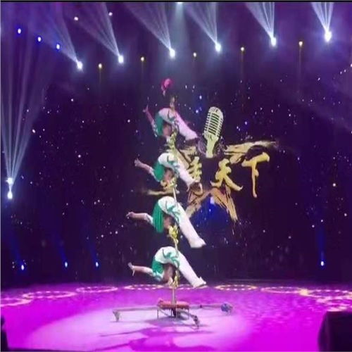 呼倫貝爾市羊駝動(dòng)物萌寵展出租附近資源