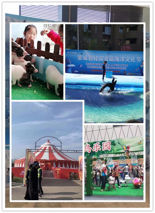 營(yíng)口市羊駝出租