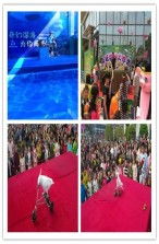 大寧縣馬戲團(tuán)表演出租本地