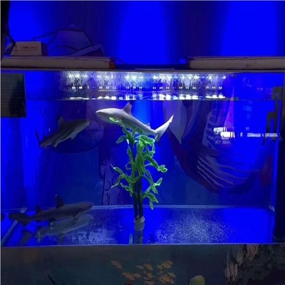 玉林大型馬戲團表演出租出租專業租賃服務商