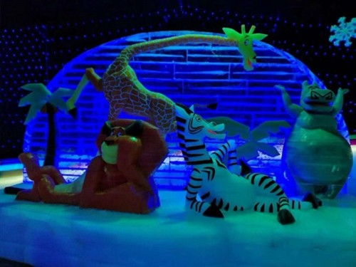 醴陵蝴蝶標本出租合作的費用多少