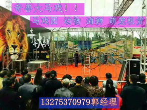 金灣區(qū)企鵝展覽哪里有