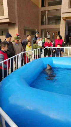 萌寵展百鳥展海獅表演出租馬戲團表演租賃