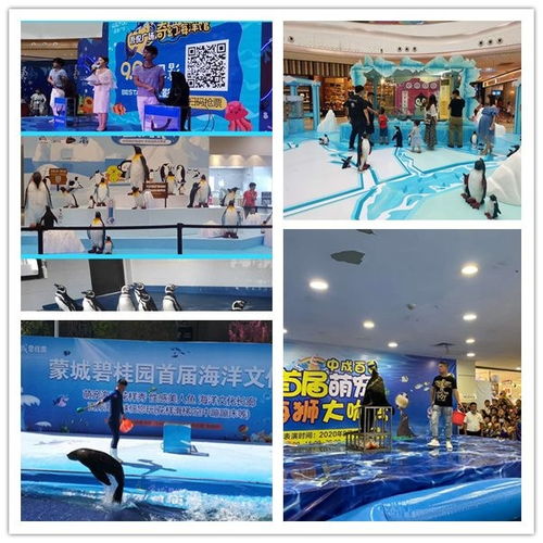 平涼市馬戲團表演動物租賃形式豐富