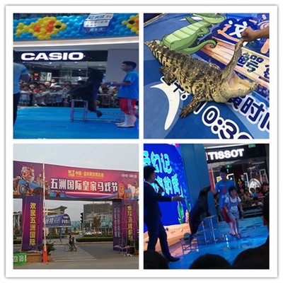 尼勒克縣大型馬戲團(tuán)雜技表演租賃出租租賃