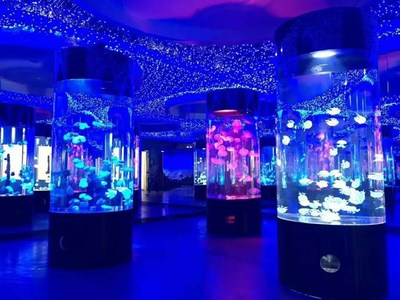 勝凱|動(dòng)物出租|馬戲團(tuán)表演出租|魚缸展|環(huán)球飛車|馴鹿出