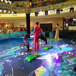 遼寧省來自馬戲之鄉的馬戲團出租