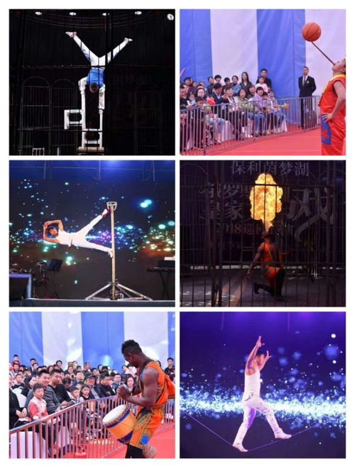 小馬戲表演租賃馬戲團(tuán)表演出租價格