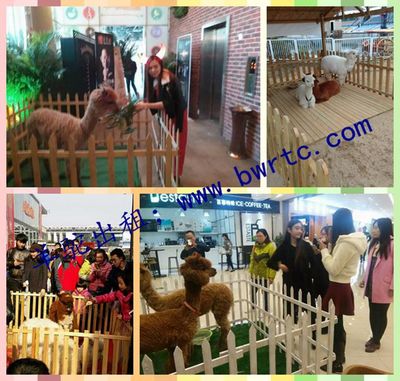 黔南什么地方有出租馬戲團的嗎?_產品庫_金農網