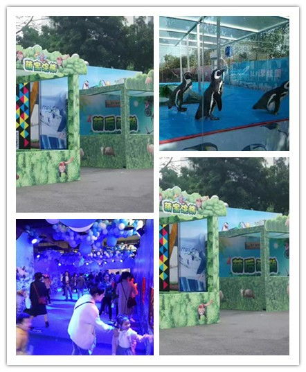 武穴市馬戲團表演出租合作平臺