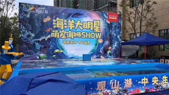 郟縣雜技馬戲團(tuán)表演動(dòng)物主題暖場活動(dòng)