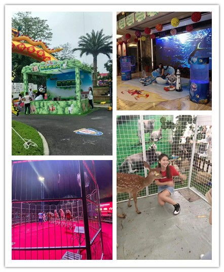 甘肅合作市雜技表演出租馬戲團(tuán)百鳥(niǎo)展