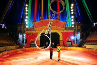 海洋生物展馬戲團(tuán)表演出租