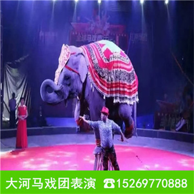 汕頭海獅表演出租