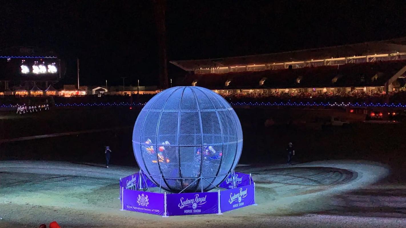 萌寵展出租馬戲團鸚鵡表演.#萌寵 #神奇動物在抖音 #萌寵出