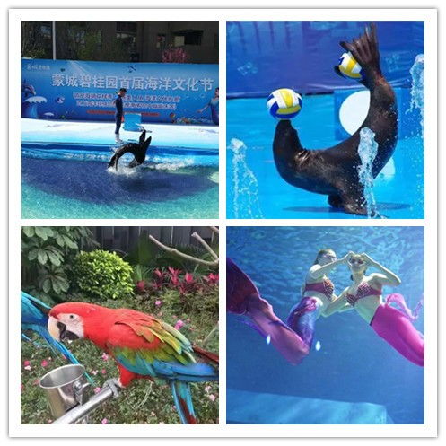 江蘇省海獅表演與冰雕展出租賃服務